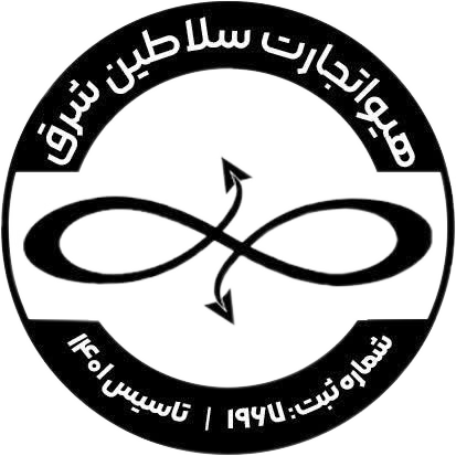 شرکت بازرگانی هیوا تجارت